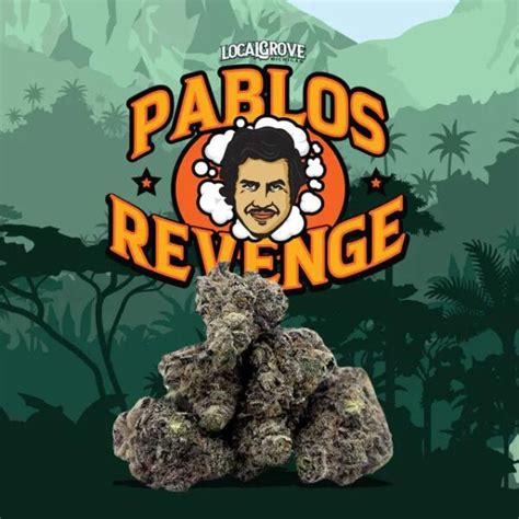 Pablo's revenge strain leafly. Things To Know About Pablo's revenge strain leafly. 